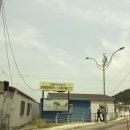 삼척 장호항 투명카누 8살 4살 아이랑 체험 4인용 후기 총정리