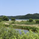 죽정습지 이미지