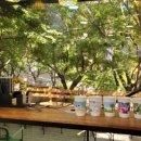 13월의 태양 이미지