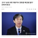 조국 "22대 국회 개원 즉시 한동훈 특검법 발의" 이미지