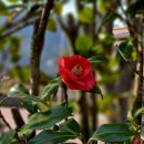 둔덕기성주차장 이미지