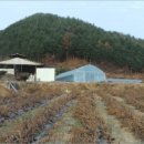 남면목장 이미지