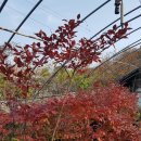 보은약국 | 치과 후기, 농장 갔다가 짐 챙겨 오고, 어제 하루 일과