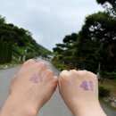 강화군 티앤림 자연휴양림 이미지