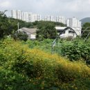 찾아가는 행정사 이미지