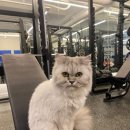 서울시티크루 이미지