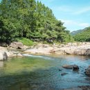 숲속의 계곡 이미지