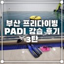 퍼스트스포렉스 | 부산 프리다이빙 패디 PADI 강습 후기 3탄