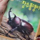 다송초등학교병설유치원 이미지