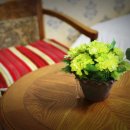 죽화우펜션 이미지