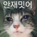 정*도 | 자궁내막증으로 비잔정 한달 먹은 후기