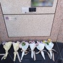 이담장례 이미지