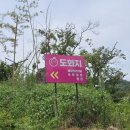 도화지오토캠핑장 이미지