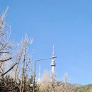 즐겁게놀자 | 명동원데이클래스 반지야놀자 명동점 방문 후기 반지공방 데이트 추천