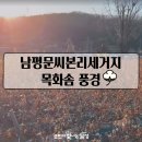 [영상] 남평문씨본리세거지의 목화솜 :: 삼우당 문익점 선생 역사