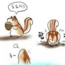 람쥐야 도토리 이미지