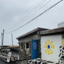 HAHAHOHO | [제주도 우도] 우도 필수코스, 수제버거 맛집 “하하호호 HAHAHOHO”