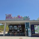 천국염소 | 가평베고니아새정원 후기ㅣ가평 실내 데이트 새 직접 보는 꽃 천국 (입장료,운영시간, 꿀팁)