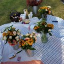 라플레르 이미지