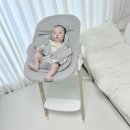 두리하나 | 신생아 두리 하이체어 뉴본 바운서 내돈내산 후기