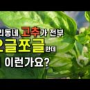 스마트종묘사 이미지