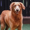 축산 메디 벳 이미지