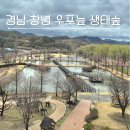 우포늪 생태체험장 | 경남 창녕 가볼만한곳 우포늪 생태체험장 가족나들이 코스