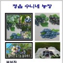 동양농장 이미지