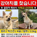 기린약국 이미지