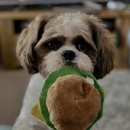 마음가득동물병원 이미지