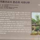 대구나무병원 이미지