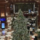 강남 콩바디 헬스클럽 | 임피리얼 팰리스 강남 이그제큐티브룸 올인클루시브 패키지 (클럽 라운지 이용 후기 데이스낵&amp;해피아워...