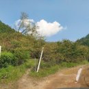 연정(신녕) 이미지