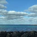 하늘고래블루 이미지