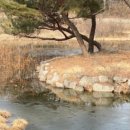 평택시 배다리저수지3 이미지