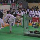 한국체대 현 태권도장 이미지