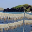 놀멍쉬멍 이미지