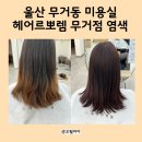 헤어르뽀렘 무거점