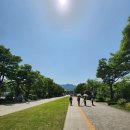 대공원역 2번 출구 앞 | 서울 대공원 사계(여름) 후기(2025. 06. 05.)