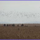 순천생태마을 이미지