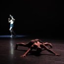 부산국제춤마켓 이미지