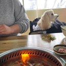 배갈비, 태릉배갈비 | 별내 태릉갈비거리 애견동반식당 태릉왕갈비