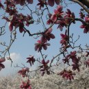 동부여성문화회관 이미지