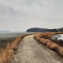 완도대교 호스텔 이미지