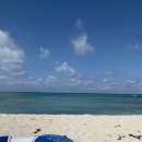 레몬비 곽지해변점 이미지