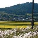 주생면 반송마을 이미지