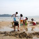 노을빛진산 이미지