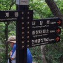 터미널할인마트 이미지