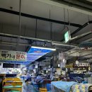 주공상회 | 삼척중앙시장 ‘바다회활어’ 늦게까지 하는 횟집,가격정보 + 할인TIP (우럭구매후기)