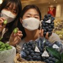 다래유통 이미지